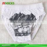 Children Underwear Briefs Little Boys In Sexy Underwear For Boys thumbnail-1