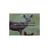 Deer Fence Net&mesh Deer Fence Netting Deer Field Fence Mesh (factory Directly) thumbnail-2