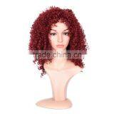 Hot Sale Kinky Curly Synthetic Hair Wigs thumbnail-1