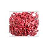 Chaotian r Chilli thumbnail-3