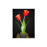 Tulip Set (2 x Tulips) thumbnail-1