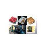 egg tray machine