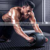 YPOO Home Use ab Roller Crunch ab Roller Exercise Dual Wheel Home Gym Workout Equipment ab Roller Kit thumbnail-2