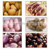 Automatic Potato Peeler Machine for Restaurant / Potato Peeler Washer Machine / Rotating Potato Peeler for Sale thumbnail-6