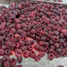 High Efficiency Automatic Fruit Pitting Machine Cherry Pitter Olive Pitter Machine for Fruit Processing Plants thumbnail-3