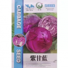 200pcs NON-GMO High Germination Green Red Cabbage Seeds Packet for Planting thumbnail-3
