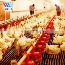 Poultry Farming Chickens House for 10000 Layers thumbnail-3