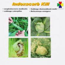 Highly Effective Pesticide for Kill Pest Indoxacarb Manufactures 30%wdg Good Price thumbnail-3