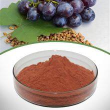 Grapefruit Seed Extract thumbnail-1