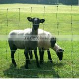 High tensile hot dipped galvanized animal farm protection fence(manufacturer)