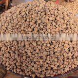 Best Selling Broad Bean Peeling Machine