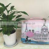 14 " PC Lovely Beautiful Makeup Suitcase