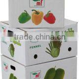 5 Colours Printing Carton Box for Apple Fruit Packaging Box Factory Prices thumbnail-5