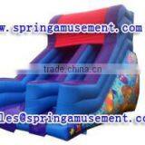 The Most Popular Outdoor Commercial Giant Inflatable Slide, Inflatable Water Slide, Inflatables SP-SL078