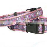 Newly Style Dog Collar