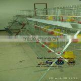 Zimbabwe Market Popular Poultry Cage Layer Chicken Cage for Sale thumbnail-3