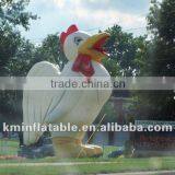 Giant Inflatable Chicken