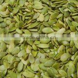 Shine Skin Pumpkin Seeds Kernels, Grade A