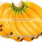 Banana Fruit Pulp Powder / Banana Powder thumbnail-3