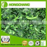 Frozen Chopped Spinach thumbnail-1