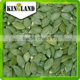 Green Dried Pepitas Grade AA Pumpkin Seeds Kernel GWS thumbnail-1