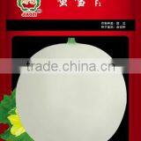 Hybrid F1 White Sweet Melon Seeds For Cultivation-Honey Snow F1 thumbnail-1