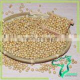 Non-gmo Soybeans thumbnail-1