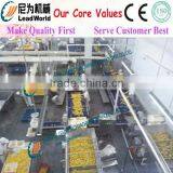 High Productive Apple Processing Line thumbnail-1