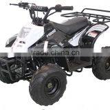 Kids Gas Powered Atv 50cc 110cc thumbnail-4
