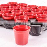 beautiful plastic small flower pot carry tray display