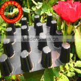 Polythene/Polystyrene Dimple Drain Board thumbnail-1