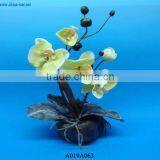 Potted Phalaenopsis Orchid thumbnail-1