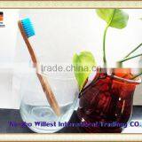 Blue Bristle Bamboo Toothbrush With Customize Logo thumbnail-3