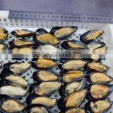 IQF Half Shell Blue Mussel thumbnail-1