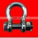 Bow Shackle With Safety Bolt