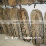 Real Fur Collar 100% Genuine Raccoon Scarf 68cm *11cm Fur Trim of Down Coat thumbnail-4