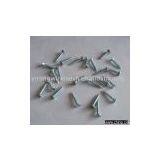 Common Nail thumbnail-1