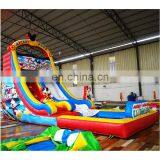 Outdoor Playground Mouse Park Inflatable Pool Slide For Kids Amusement Park