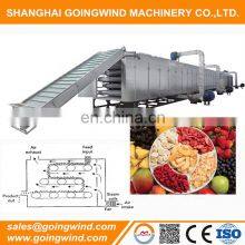 Automatic Tunnel Conveyor Dryer Belt Type Continous Industrial Fruit Drying Machine Cheap Price for Sale
