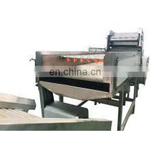 SUS 304 Stainless Steel High Quality Fruit and Vegetable Washing Machine for Mango/tomato/pear/kiwifruit thumbnail-1