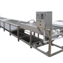 Eco-Friendly Fruit and Vegetable Washing Machine for Promotion thumbnail-1