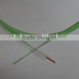 Endoscopy Brush Enhanced