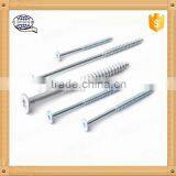 DIN 7971 / ISO 1481 Stainless Steel /carbon Steel Slotted Pan Head Cone End Type C Self Tapping Screws thumbnail-1