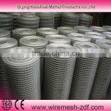 Electro Galvanized Welded Wire Mesh