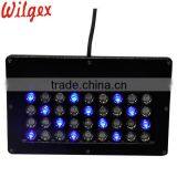 Outdoor Waterproof Landscape LED Projection Lighting thumbnail-2