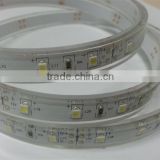 cool white SMD3528 waterproof led light for swimming pool