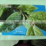 High Quality Digital Inkjet Pvc Film Printer