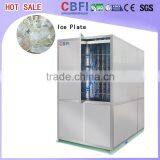 Client Cases in Malaysia 15 Tons Plate Ice Machine for Shrimp Fish Company