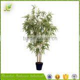 Customized Low Price Enviroment Friendly Bamboo Bonsai Tree thumbnail-6