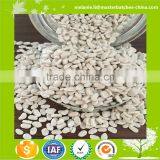 CC Filler Masterbatch Price Better Than Vietnam Supplier
